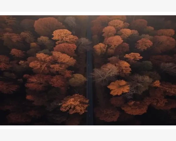 B2B分类平台助力企业高效获客